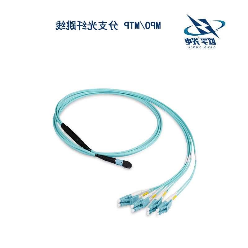 MPO/MTP 分支光纤跳线
